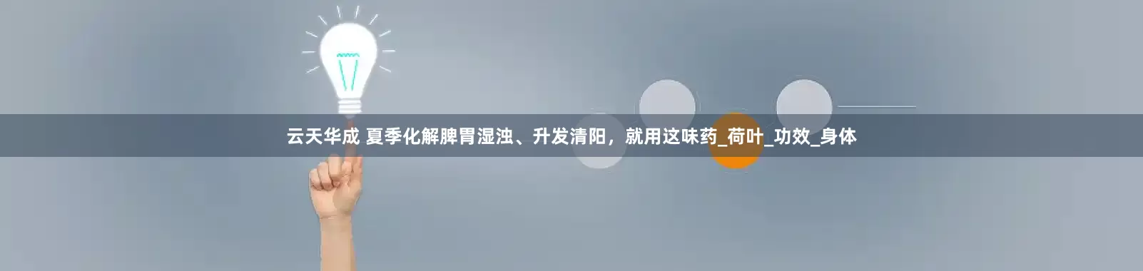 云天华成 夏季化解脾胃湿浊、升发清阳，就用这味药_荷叶_功效_身体