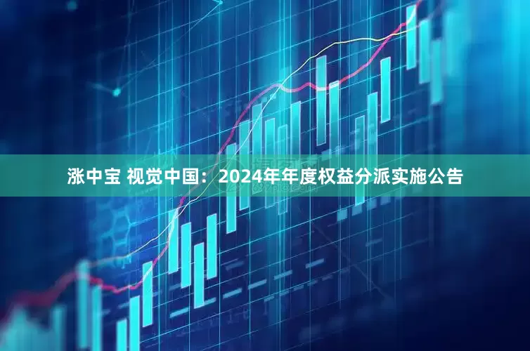 涨中宝 视觉中国：2024年年度权益分派实施公告