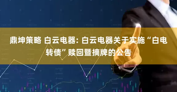 鼎坤策略 白云电器: 白云电器关于实施“白电转债”赎回暨摘牌的公告