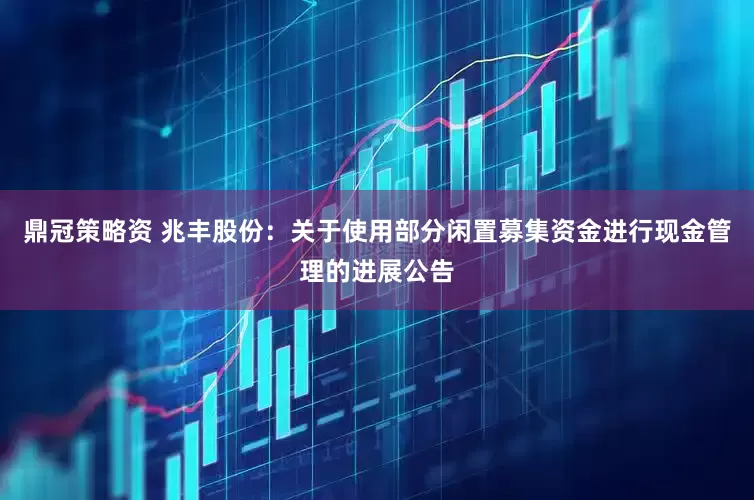 鼎冠策略资 兆丰股份：关于使用部分闲置募集资金进行现金管理的进展公告
