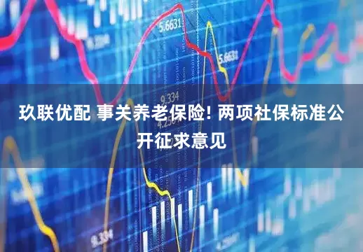 玖联优配 事关养老保险! 两项社保标准公开征求意见